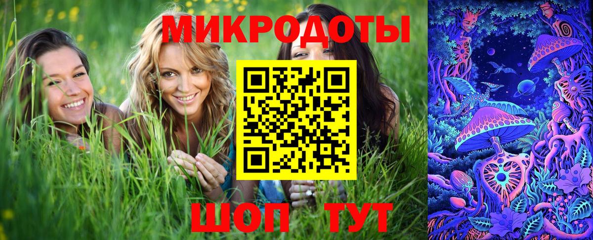 Галлюциногенные грибы Psilocybine cubensis  Вход с VPN  Нарьян-Мар 