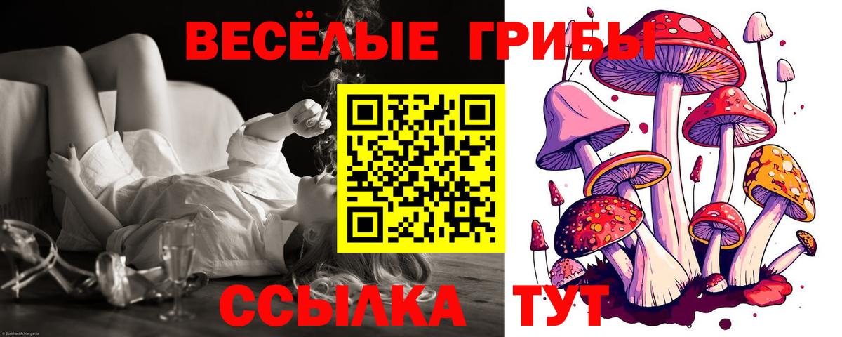 Псилоцибиновые грибы Cubensis Нарьян-Мар