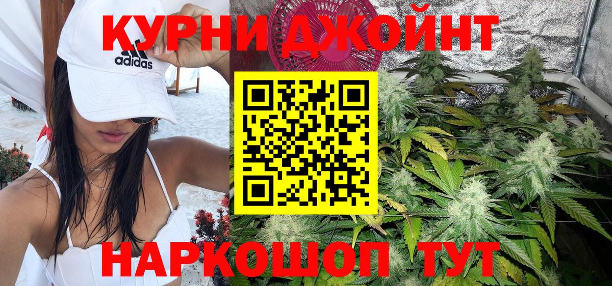 Конопля сатива Нарьян-Мар